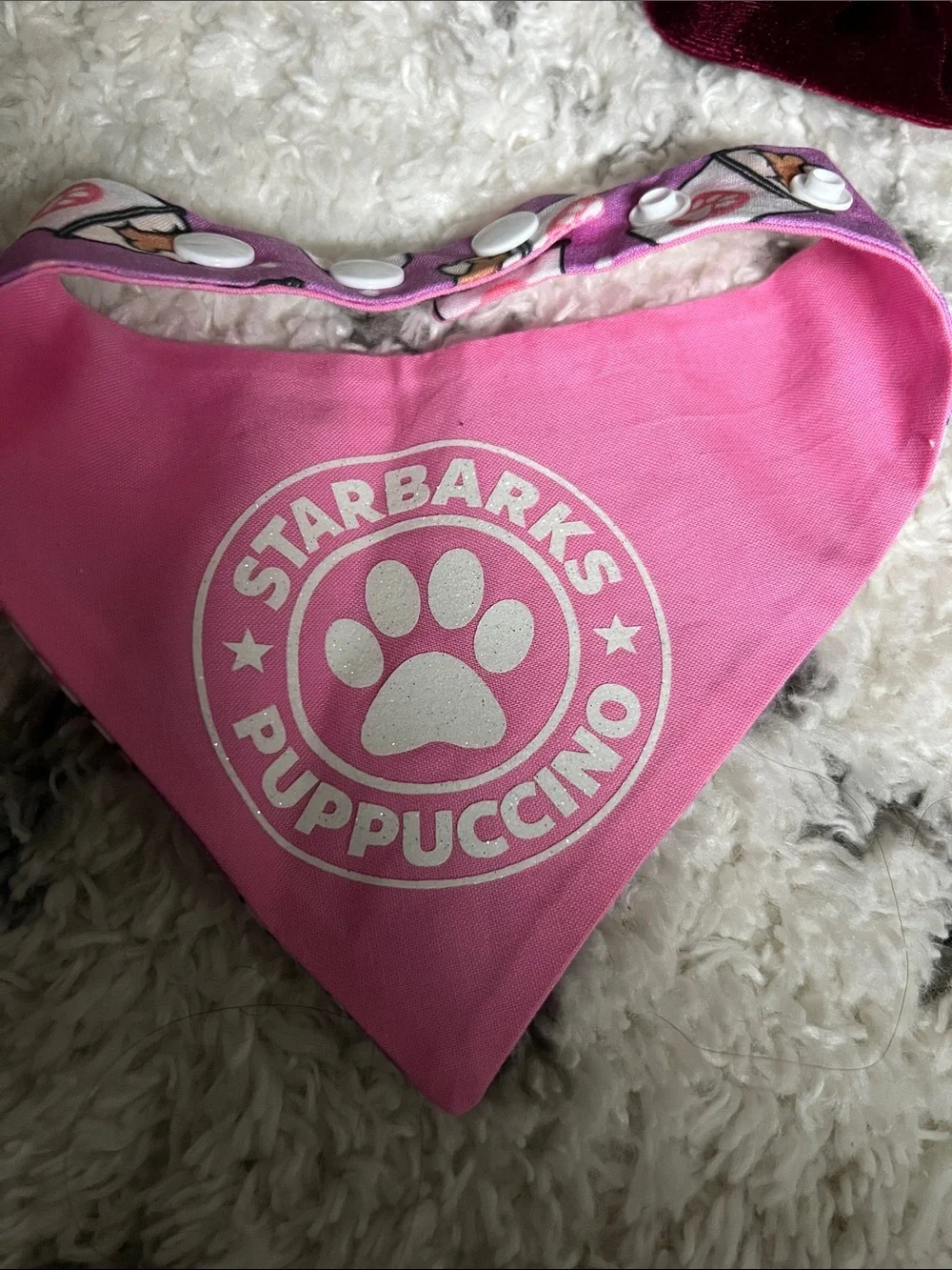 Assorted Decorative Dog Bandanas